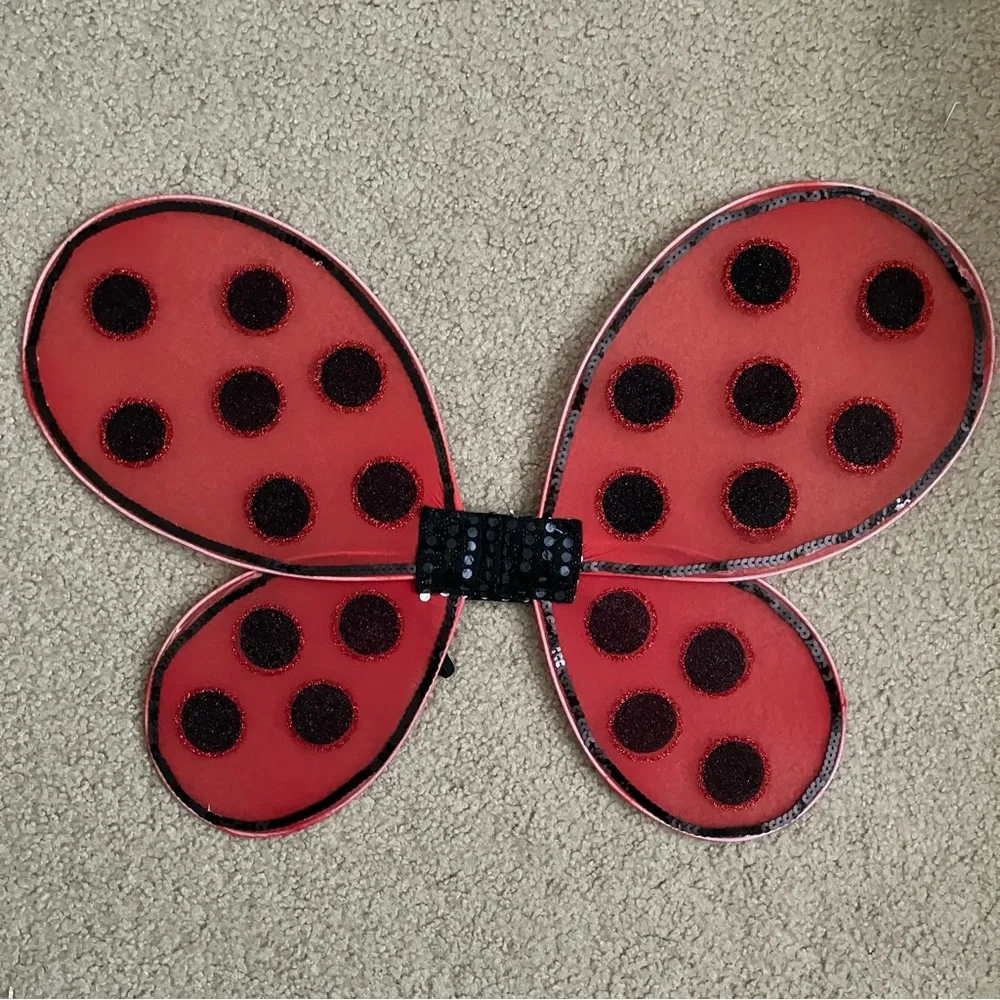 Wish charming ladybug